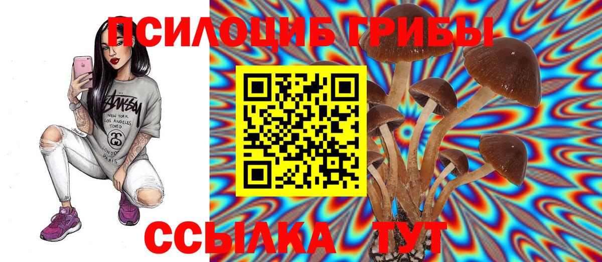 Архангельск  Псилоцибиновые грибы мухоморы  Вход с VPN 
