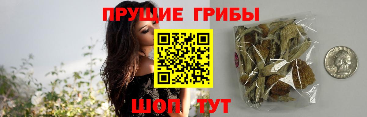 Псилоцибиновые грибы Magic Shrooms Архангельск